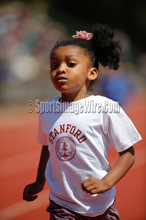2016HalfLap-003.JPG - Apr 1-2, 2016; Stanford, CA, USA; the Stanford Track and Field Invitational.